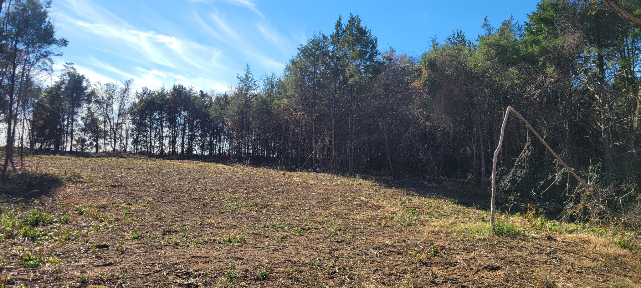 5 Mt Lebanon Church Road Shelbyville, TN 37160 - Photo 5 of 6 a view of outdoor space and yard