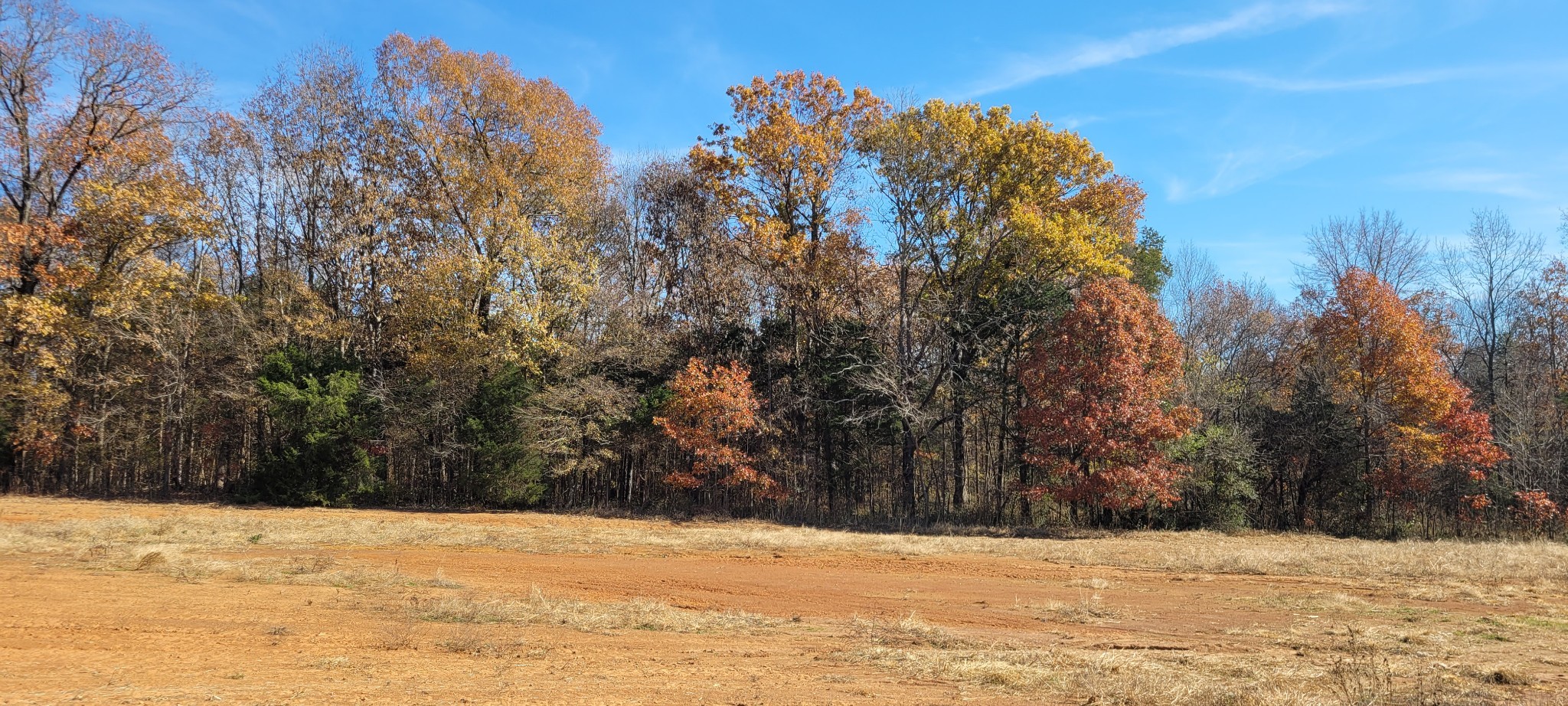 5 Mt Lebanon Church Road Shelbyville, TN 37160 - Photo 6 of 6 a view of road and snow on the road