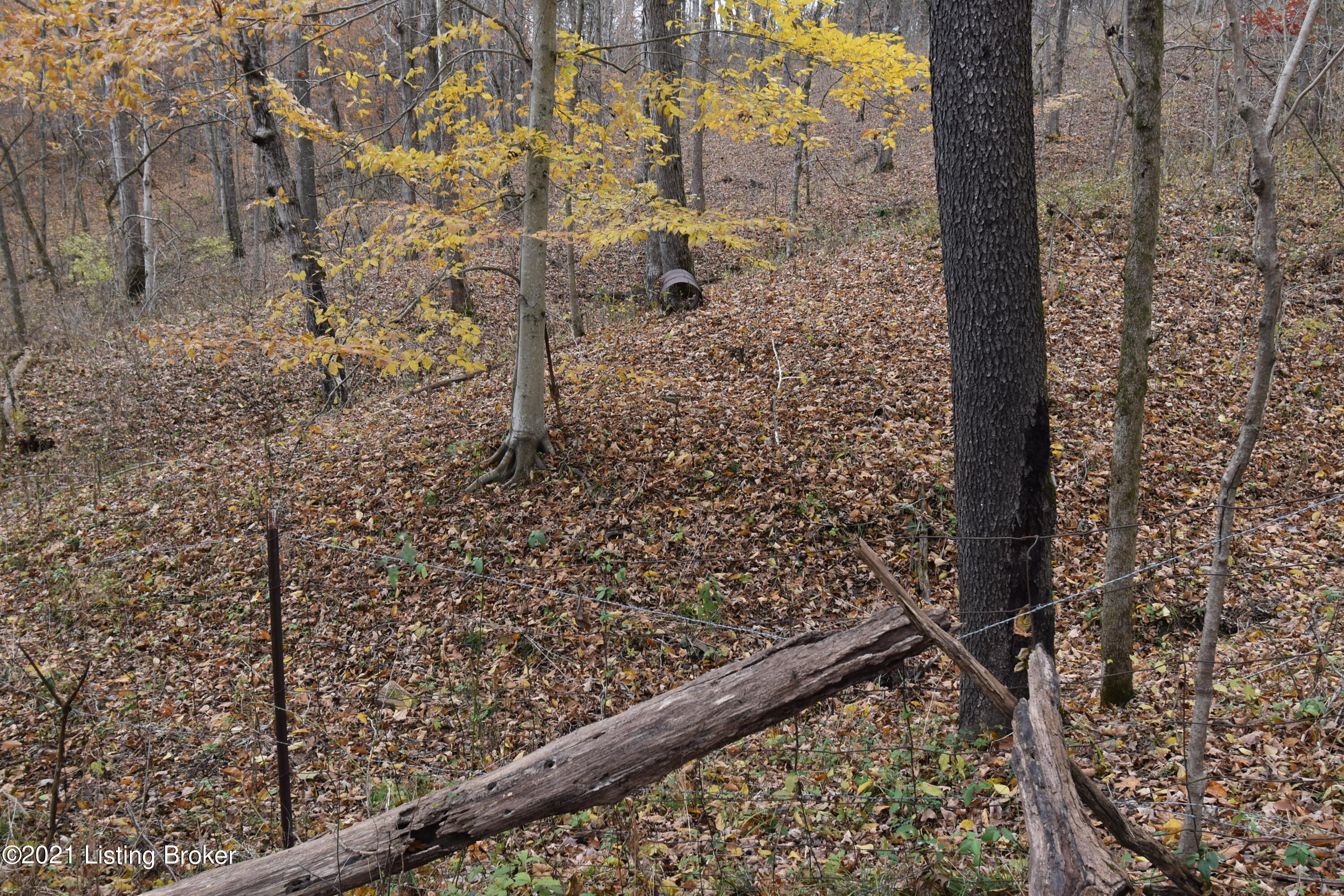 0 Prather Ridge Road Willisburg, KY 40078 - Photo 16 of 20 15