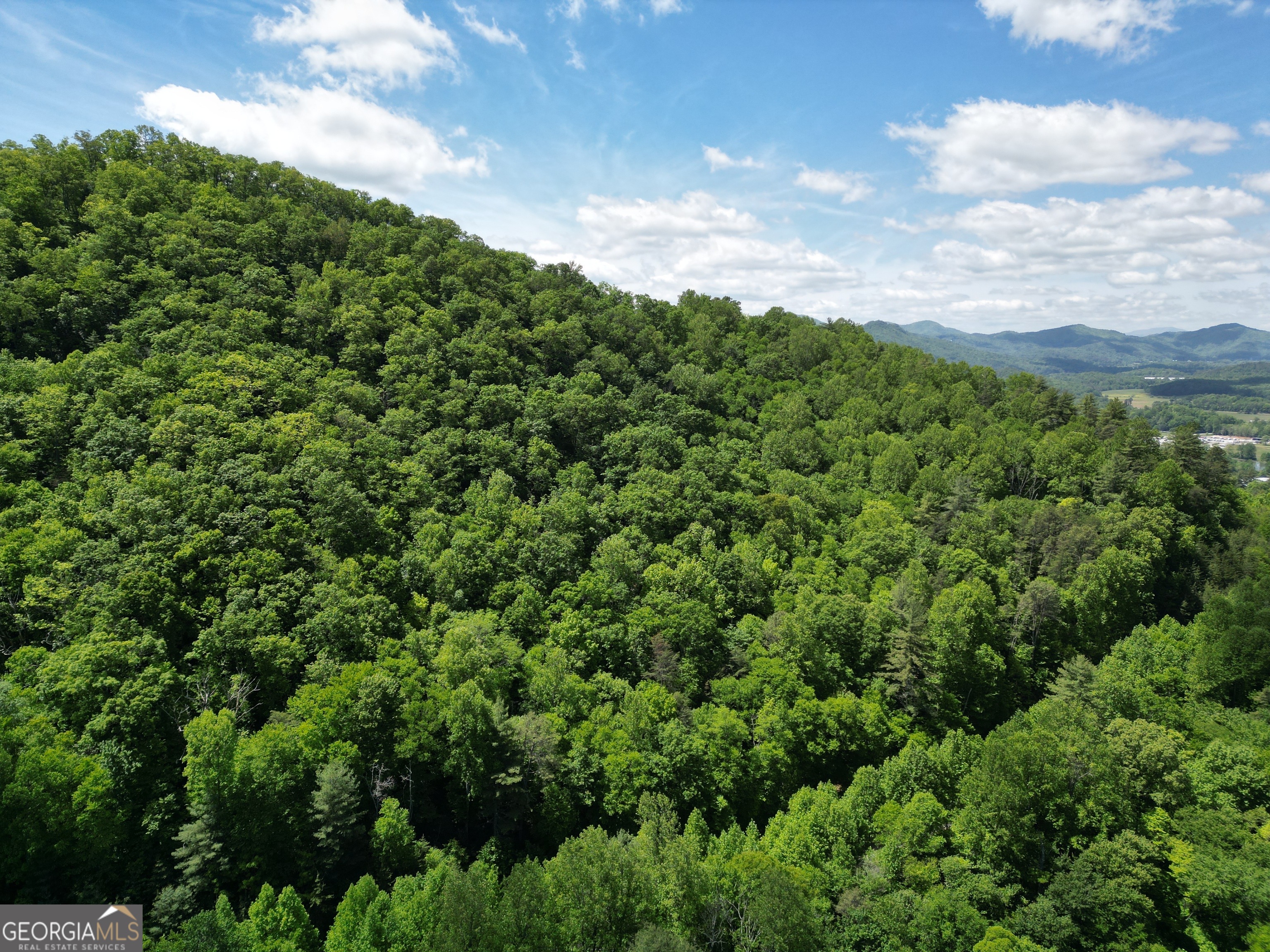 A Shake Hollow Drive Rabun Gap, GA 30568 - Photo 8 of 8