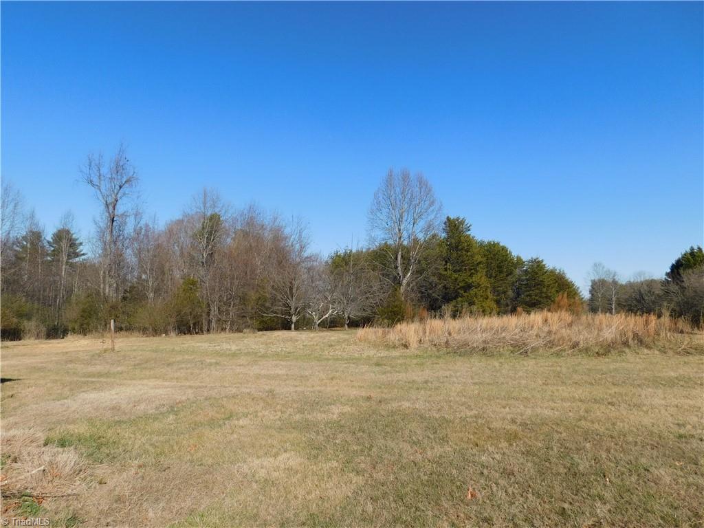 153 Regal Road State Road, NC 28676 - Photo 8 of 23 Side yard
