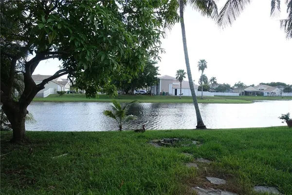 a view of a lake with a big yard and palm trees