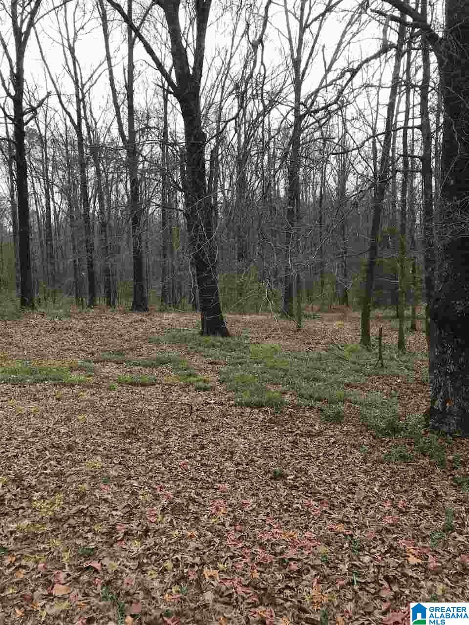 404 Chelsea Road Columbiana, AL 35051 - Photo 6 of 10