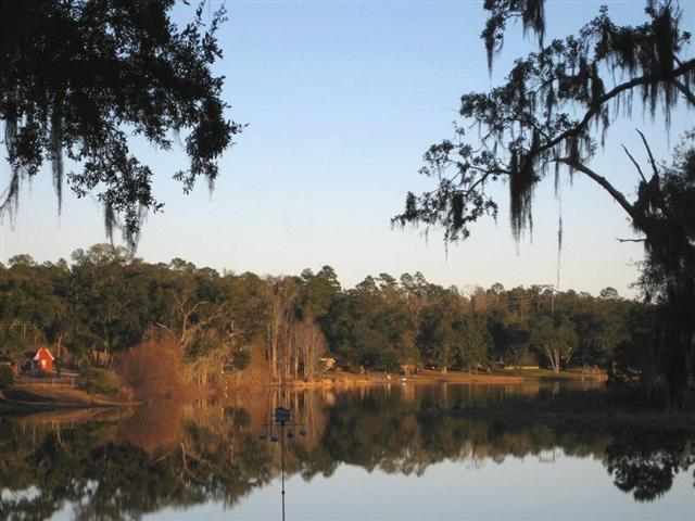 8068 Lanternlight Road Tallahassee, FL 32312 - Photo 7 of 25 Gallery Image 7