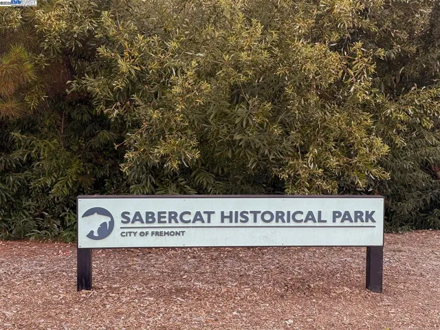 a view of a back yard of the house
