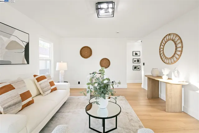 a living room with furniture or couch and a potted plant