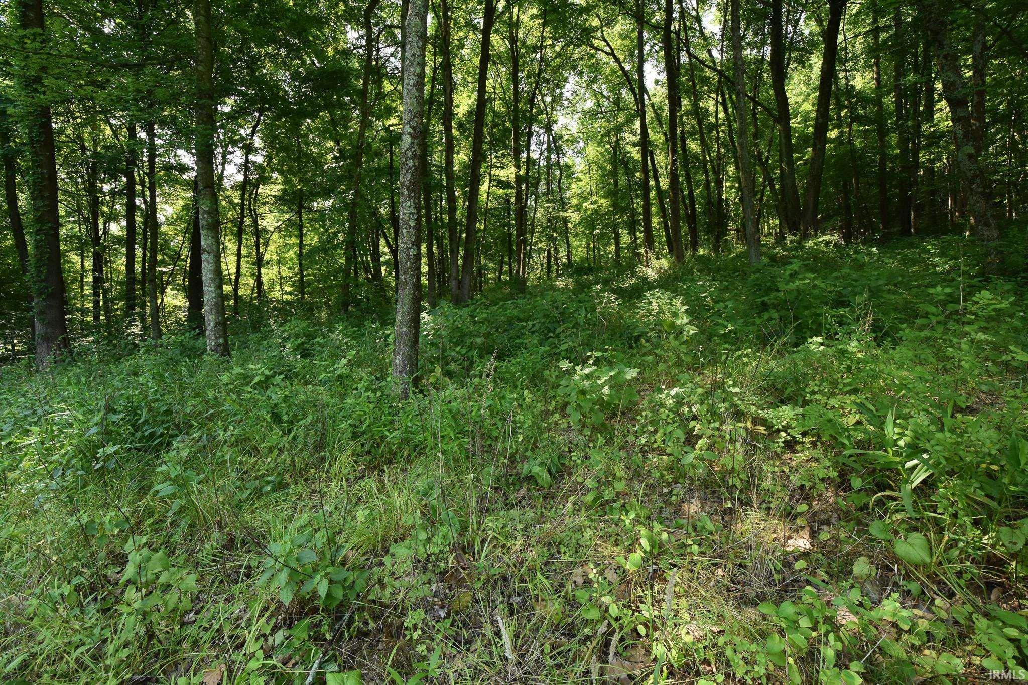 3452 Ore Branch Road Bloomfield, IN 47424 - Photo 28 of 32