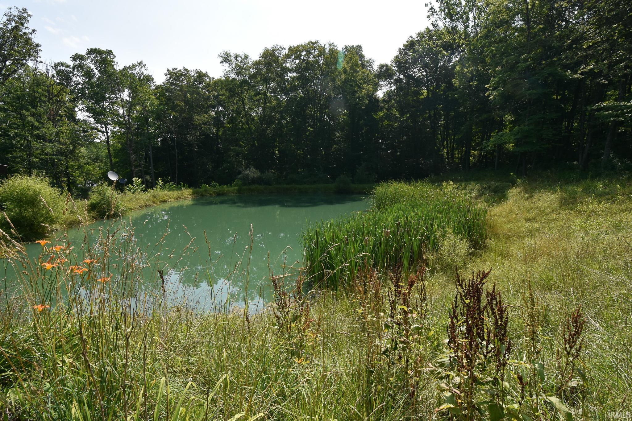 3452 Ore Branch Road Bloomfield, IN 47424 - Photo 4 of 32