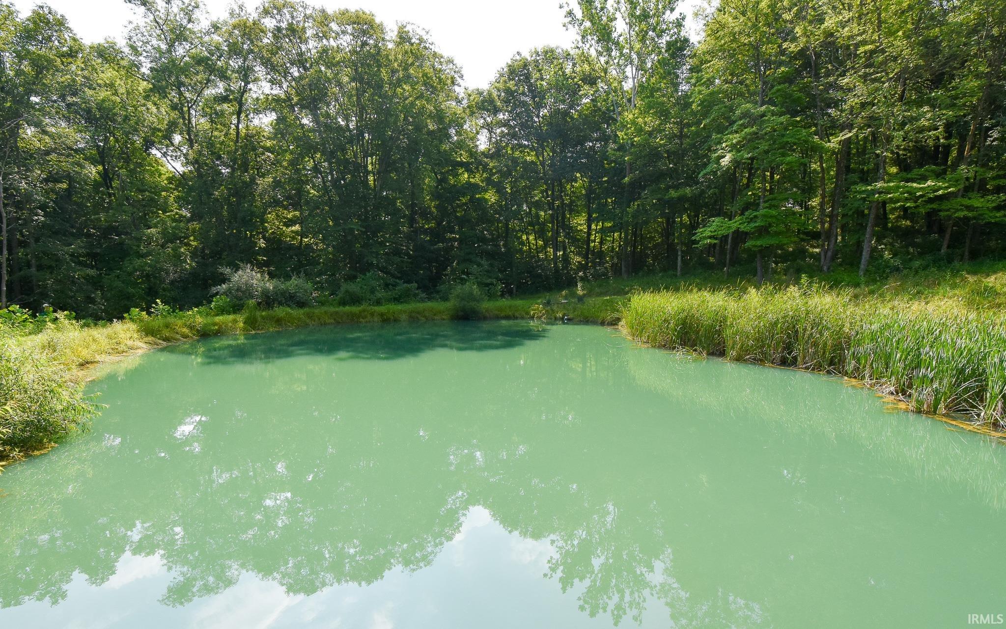 3452 Ore Branch Road Bloomfield, IN 47424 - Photo 5 of 32
