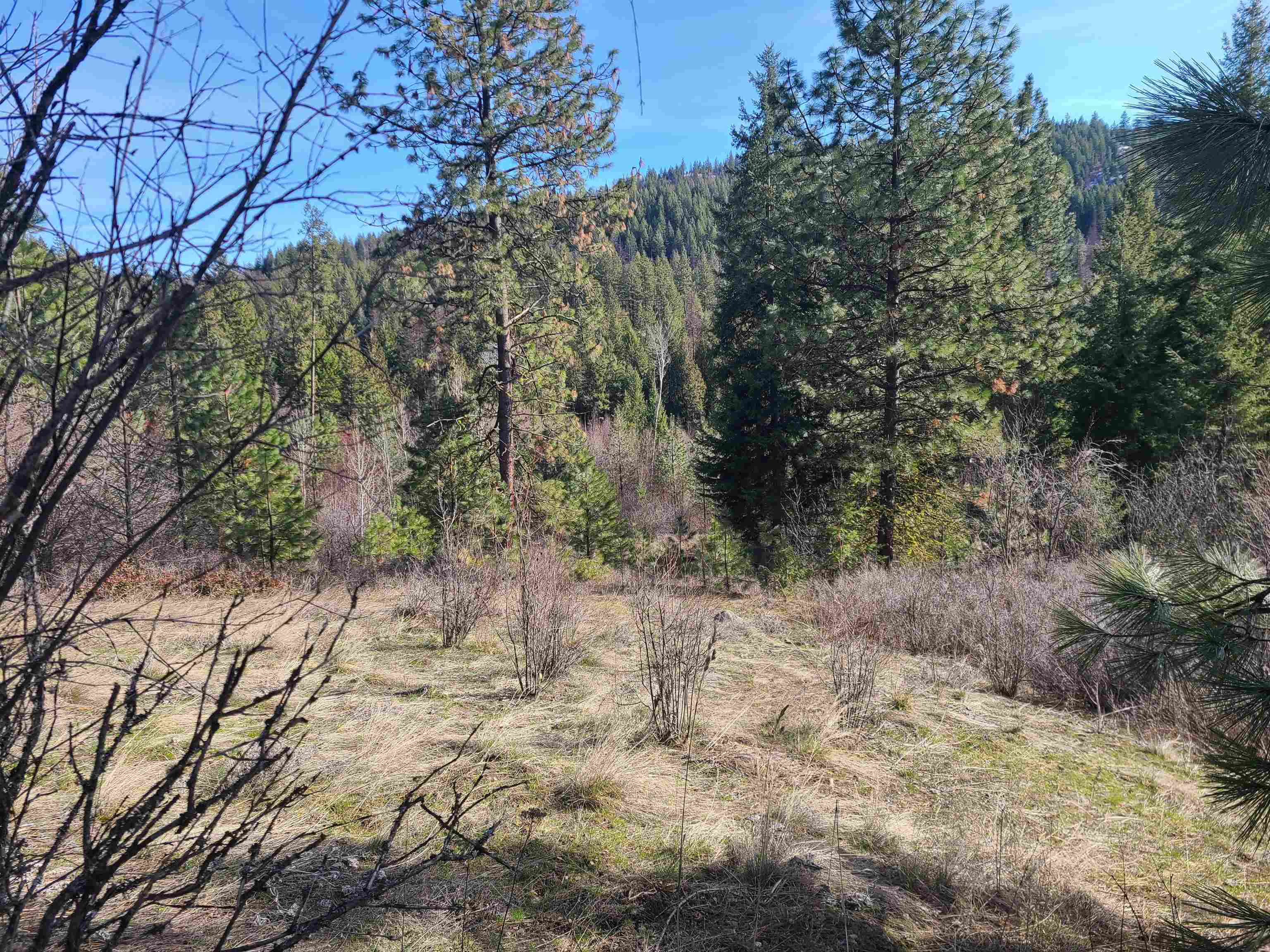 2584 F Bridgeman-Rettinger Road Kettle Falls, WA 99141 - Photo 15 of 21