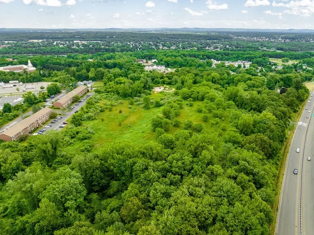 a view of a city with lush green forest