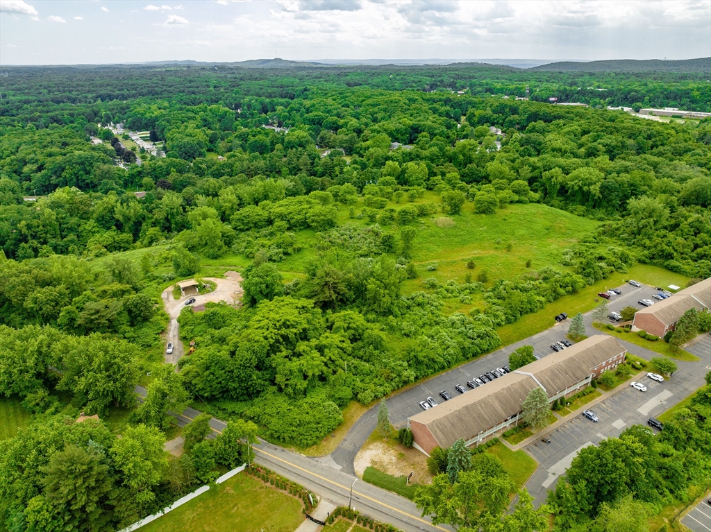89-111 Whitney Avenue West Springfield, MA 01089 - Photo 7 of 10 a view of a yard with a garden