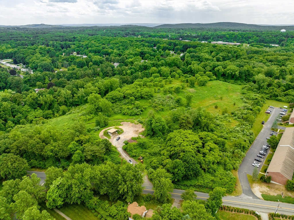 89-111 Whitney Avenue West Springfield, MA 01089 - Photo 8 of 10 a view of a big yard with plants and large trees