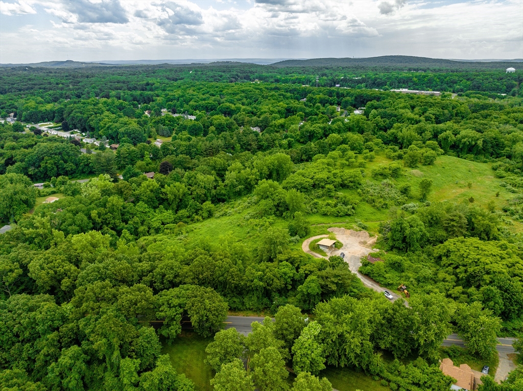 89-111 Whitney Avenue West Springfield, MA 01089 - Photo 9 of 10 a view of a garden with an outdoor space