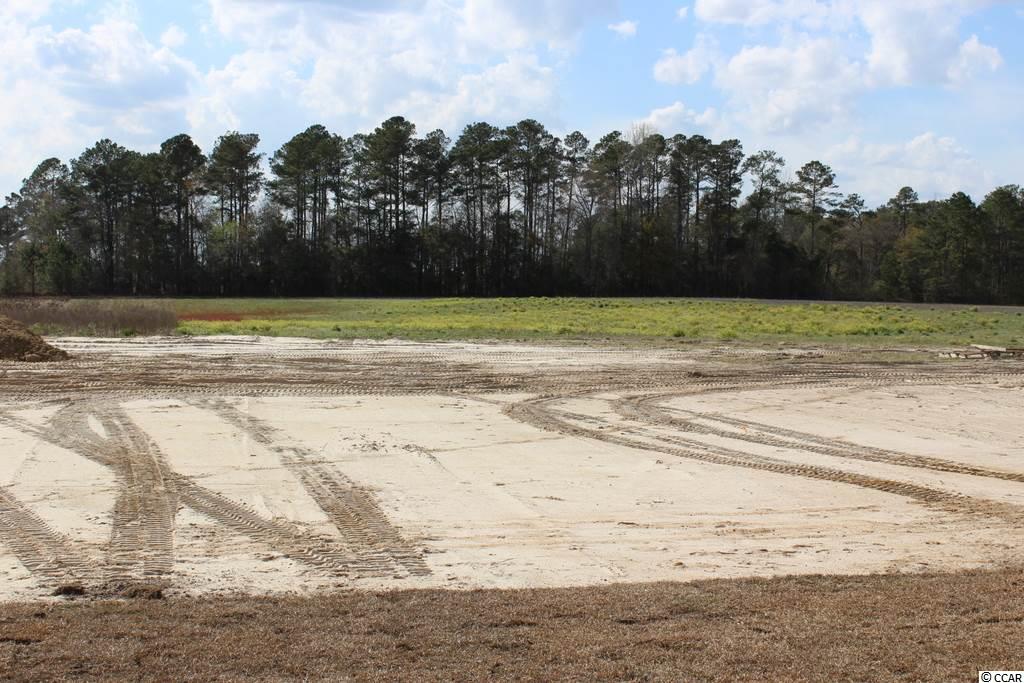 7110 Oak Grove Road Conway, SC 29527 - Photo 18 of 27 Gallery Image 18