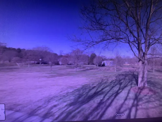 a view of backyard with green space