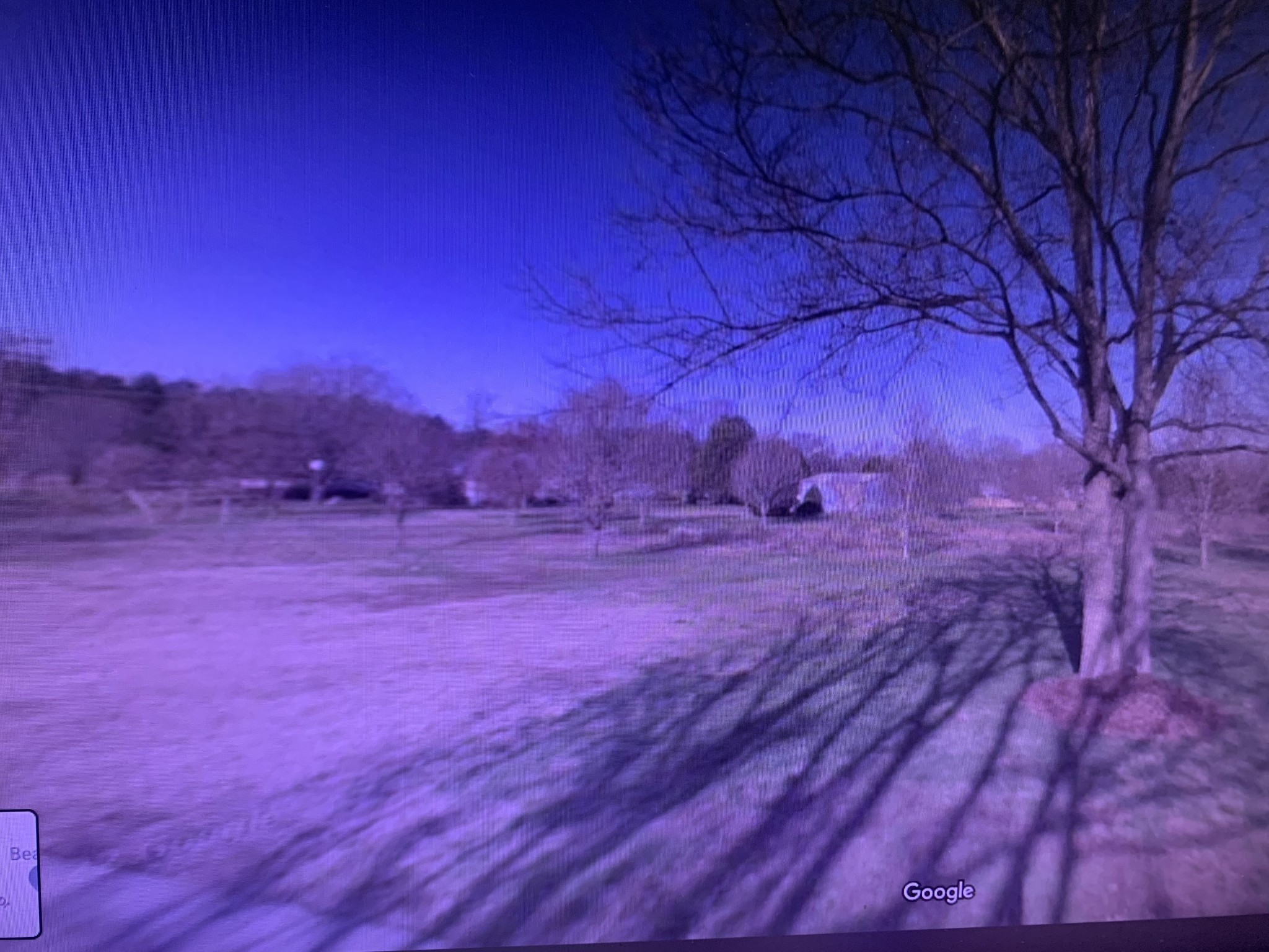 870 Nonaville Road Mount Juliet, TN 37122 - Photo 1 of 3 a view of backyard with green space