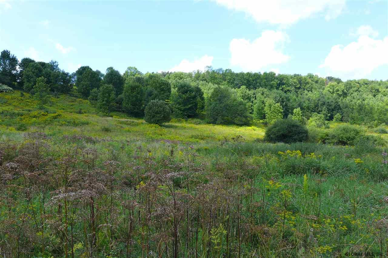 Duck Farm Road Worcester, NY 12197 - Photo 9 of 12 Photo 9