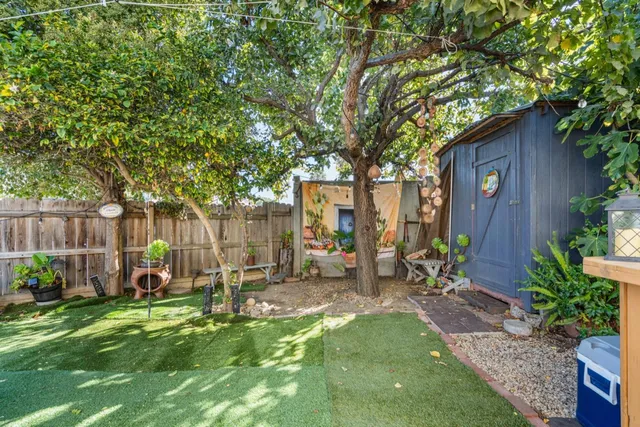 a view of a door with a tree