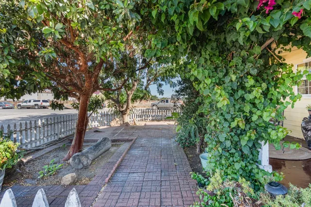 a view of a pathway with a garden