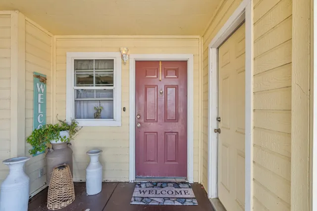 a door view with a potted plant and a toilet