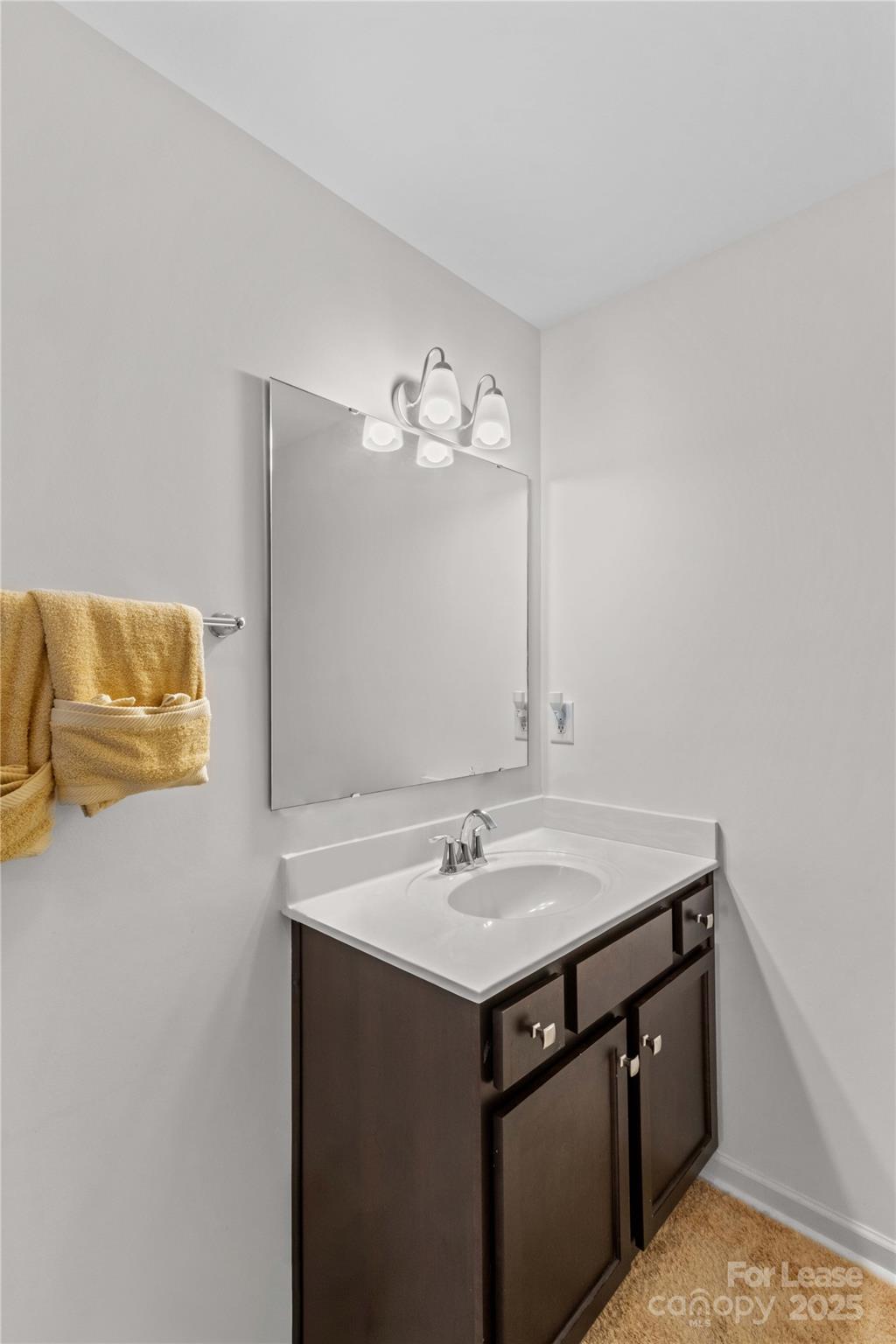 125 Mooring Drive Statesville, NC 28677 - Photo 22 of 32 a bathroom with a sink and a mirror