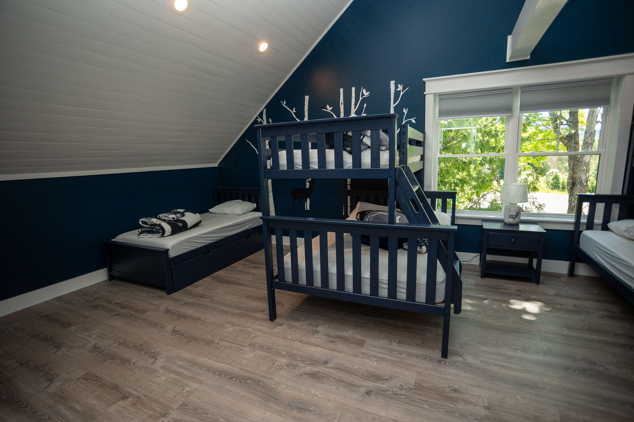 36 Pleasant Street Rangeley, ME 04970 - Photo 49 of 79 AF6A2851