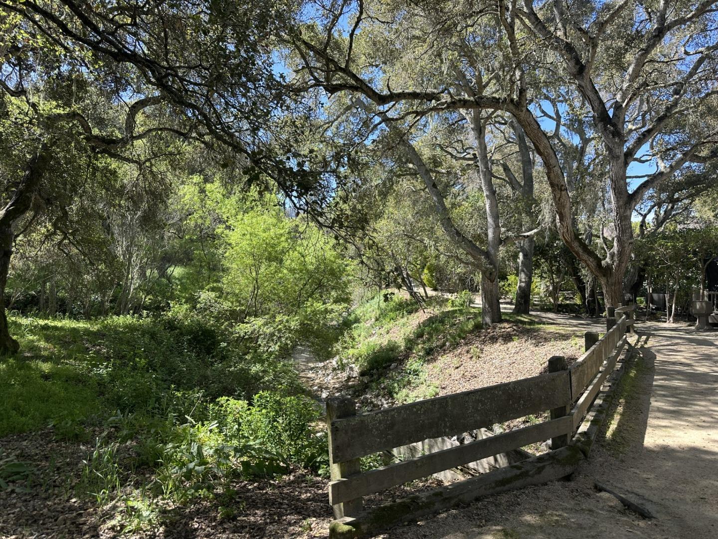25381 Markham Lane Salinas, CA 93908 - Photo 46 of 47 a view of a yard with large trees