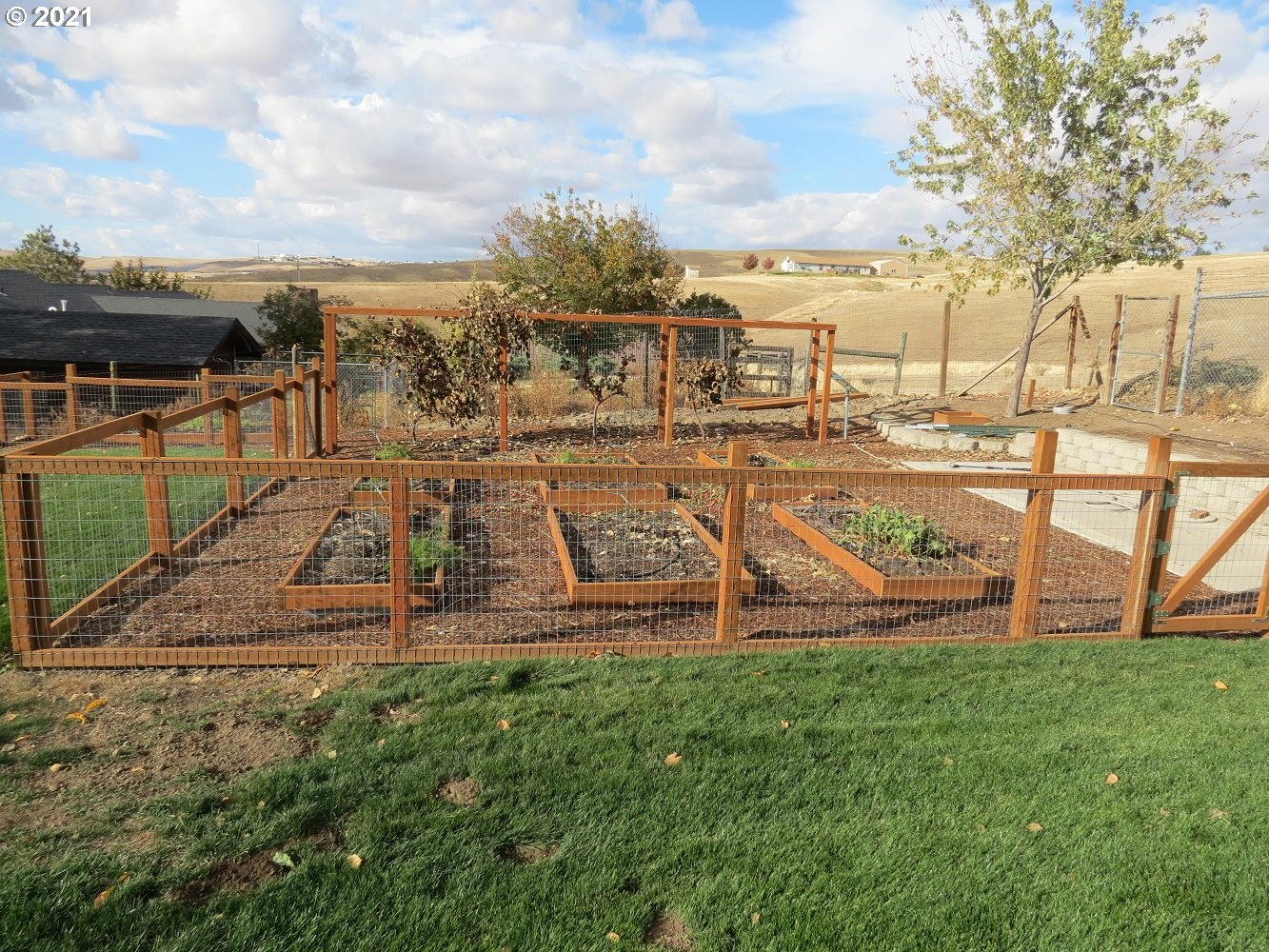 3237 Southwest Hailey Avenue Pendleton, OR 97801 - Photo 15 of 29 a view of a swimming pool with a yard