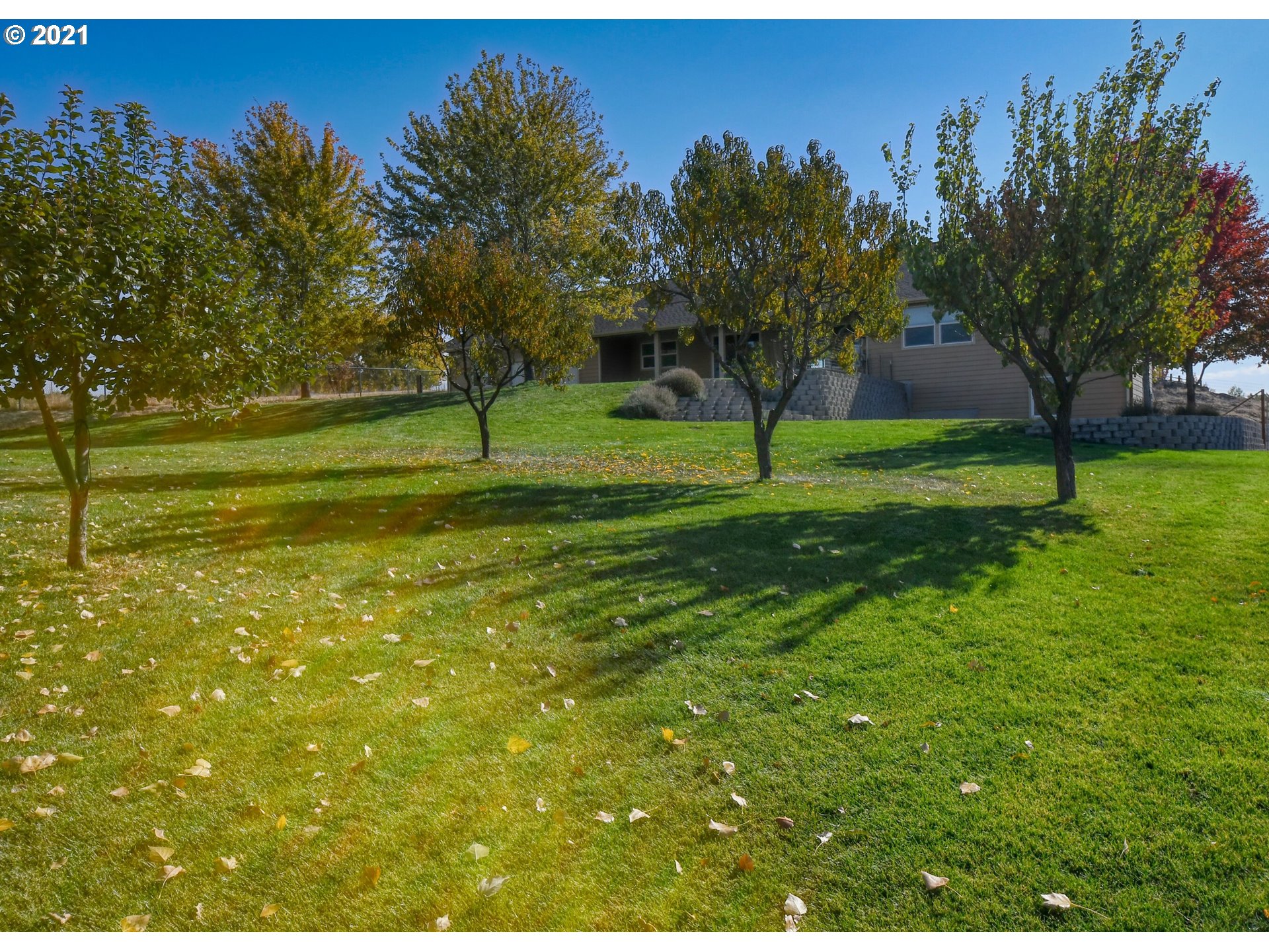 3237 Southwest Hailey Avenue Pendleton, OR 97801 - Photo 29 of 29 a view of a house with a big yard