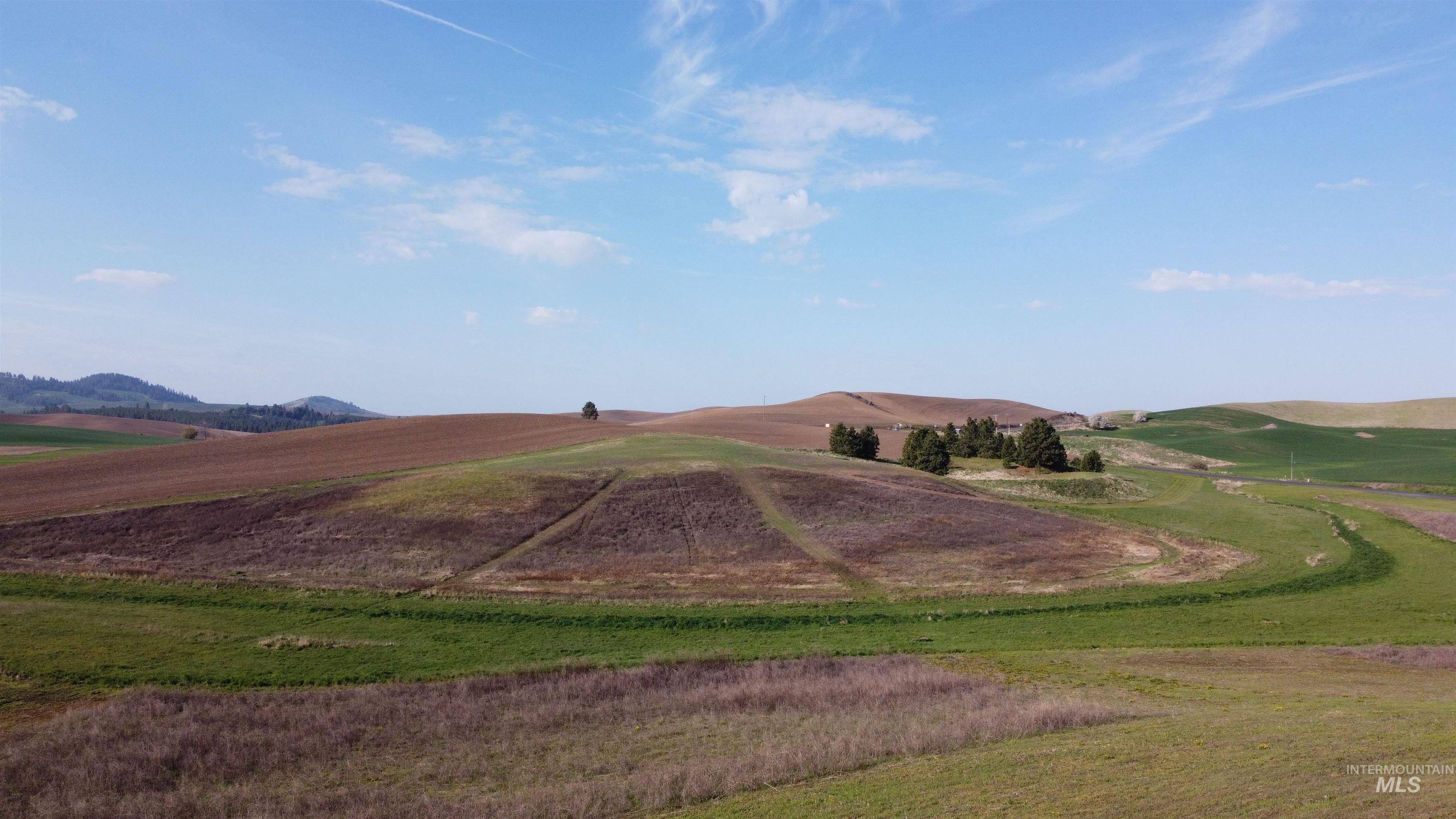 Nka Duffield Flat Road Potlatch, ID 83855 - Photo 1 of 1 Mountain view