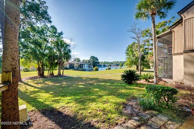 a view of a yard with a tree