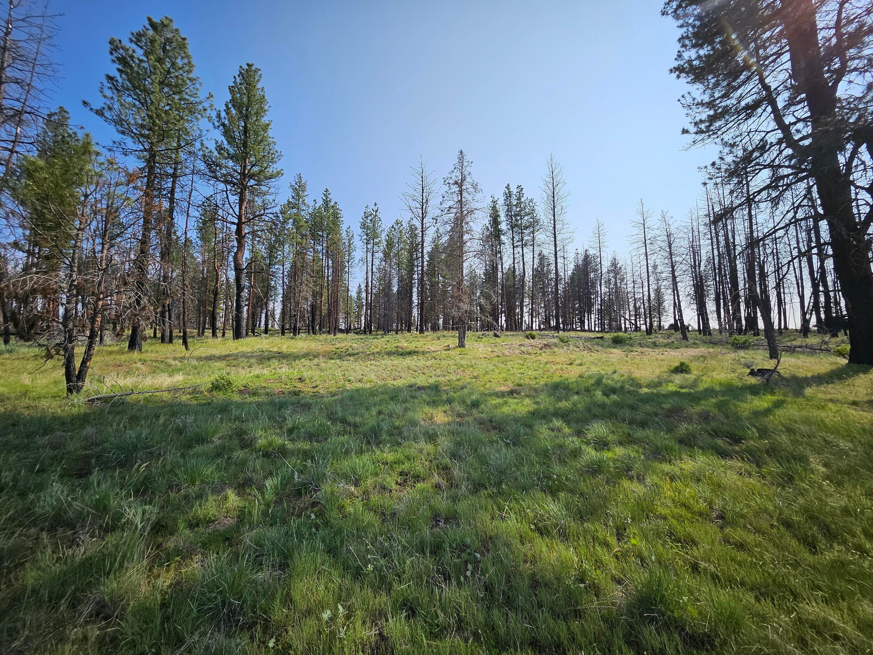 8 Parazoo Trail Bly, OR 97622 - Photo 8 of 27 20250601_165143