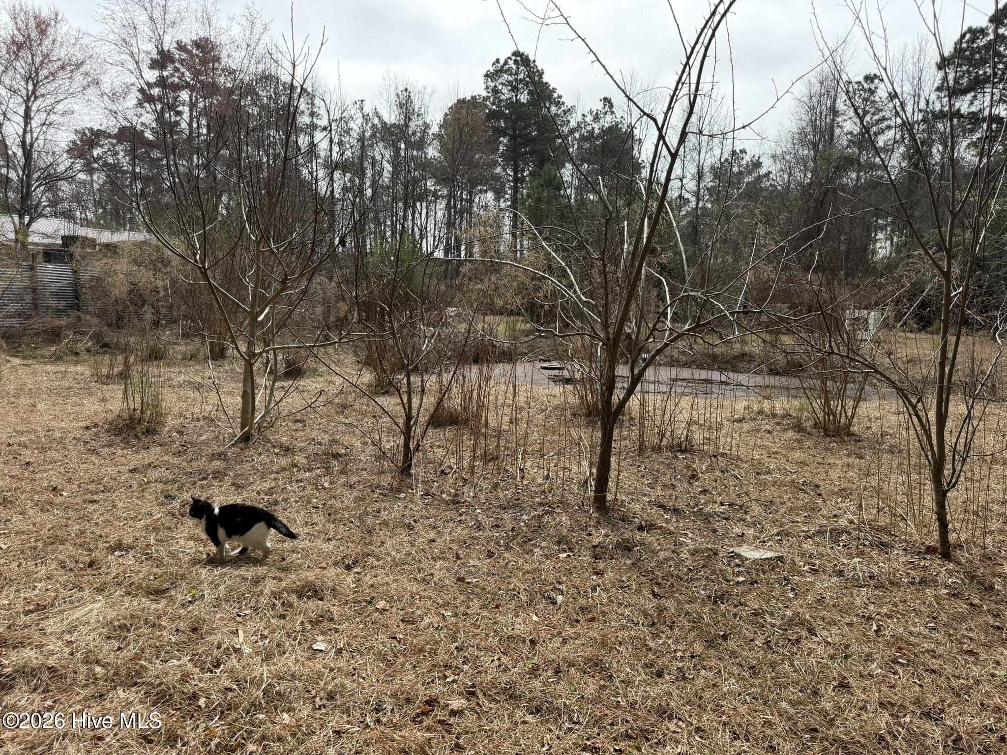 3414 Possum Hill Road Bath, NC 27808 - Photo 16 of 22 IMG_0158