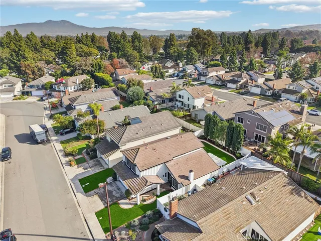 a view of a bunch of flowers in a garden