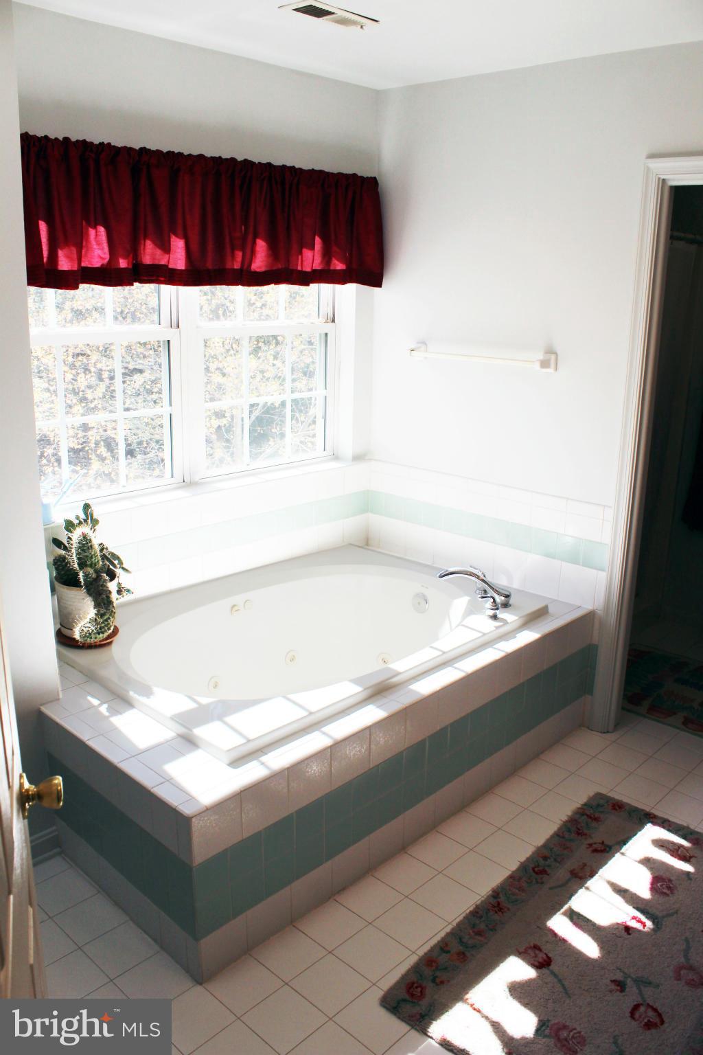 28835 Three Notch Road Mechanicsville, MD 20659 - Photo 23 of 30 Bath (Master)