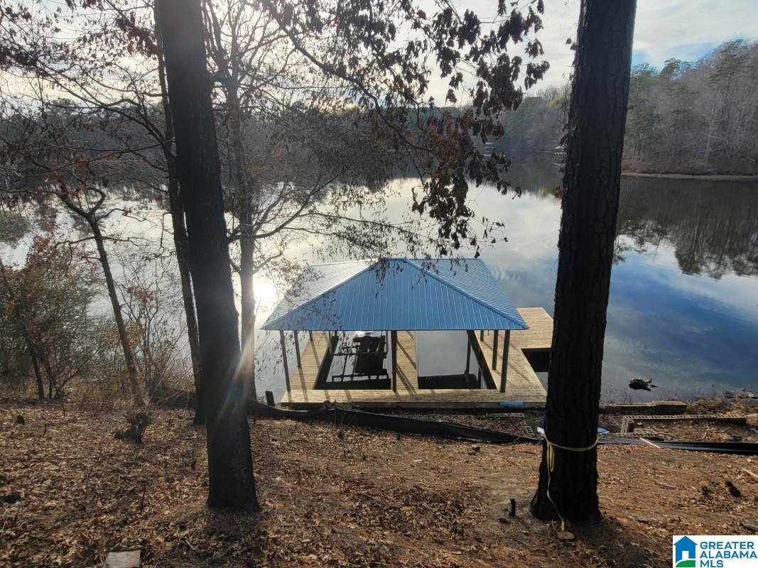 540 Lakeshore Lane Oneonta, AL 35121 - Photo 4 of 5