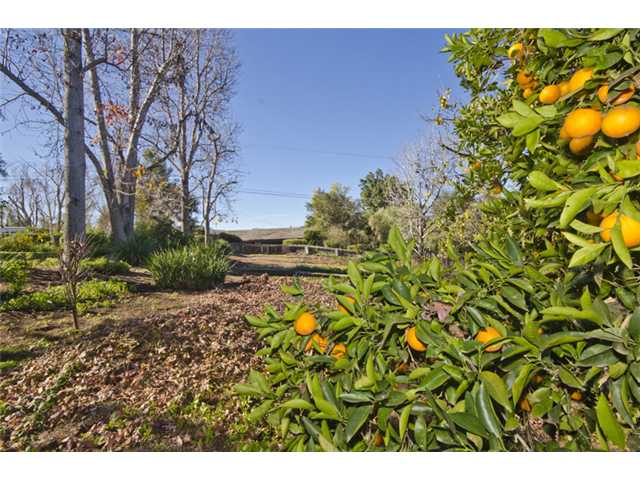 3223 Purer Road Escondido, CA 92029 - Photo 17 of 19 Gallery Image 17