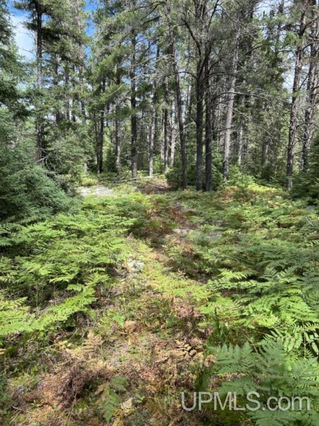 573 Rd Ishpeming Mi 49849 Road Ishpeming, MI 49849 - Photo 2 of 20