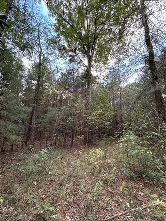 $275,000 | 350 Walker Gravel Pit, Dry Prong, LA 71423