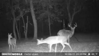 $275,000 | 350 Walker Gravel Pit, Dry Prong, LA 71423