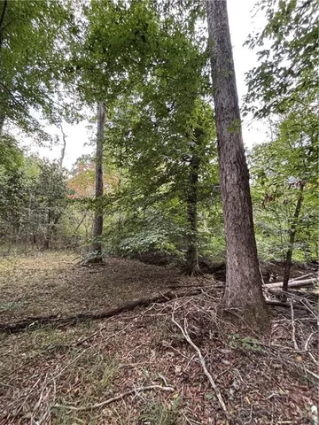 $275,000 | 350 Walker Gravel Pit, Dry Prong, LA 71423