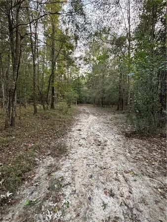 $275,000 | 350 Walker Gravel Pit, Dry Prong, LA 71423