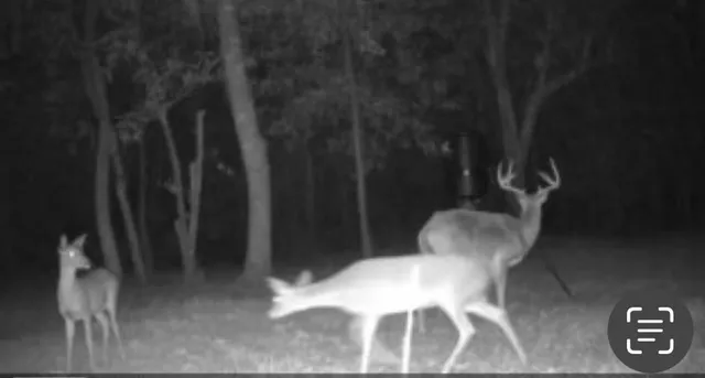 $275,000 | 350 Walker Gravel Pit, Dry Prong, LA 71423