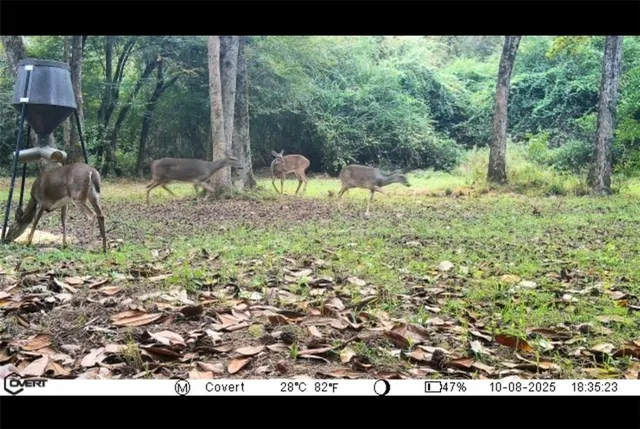 $275,000 | 350 Walker Gravel Pit, Dry Prong, LA 71423