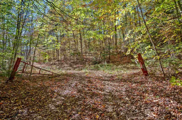 $325,000 | 0 Devils Washbowl Road, Moretown, VT 05660