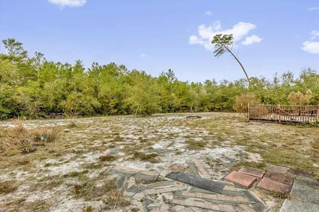 a view of a green field with lots of bushes