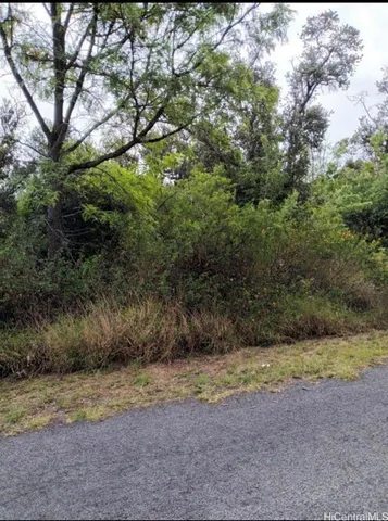 a view of a yard with a tree