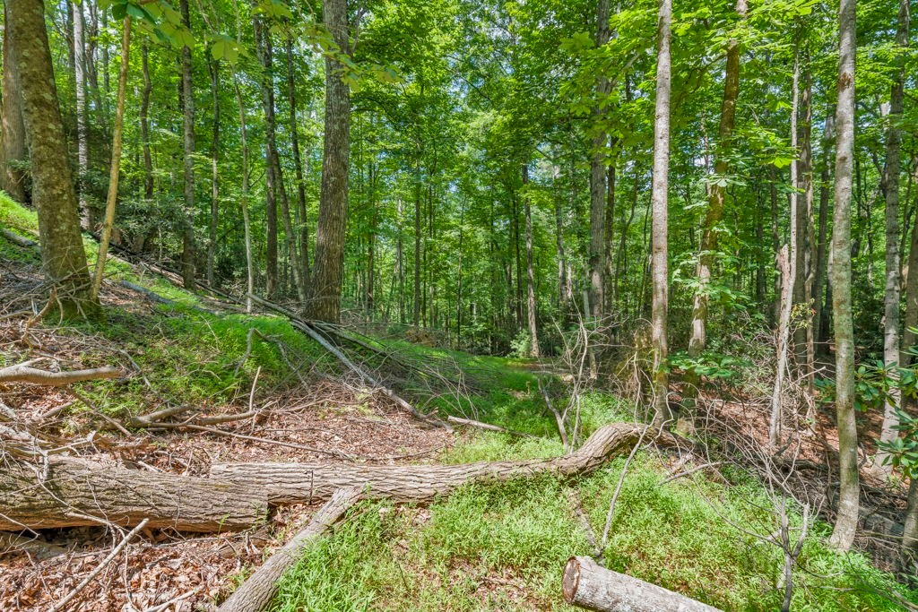 11-14 Powder Horn Mountain Road Deep Gap, NC 28618 - Photo 11 of 38