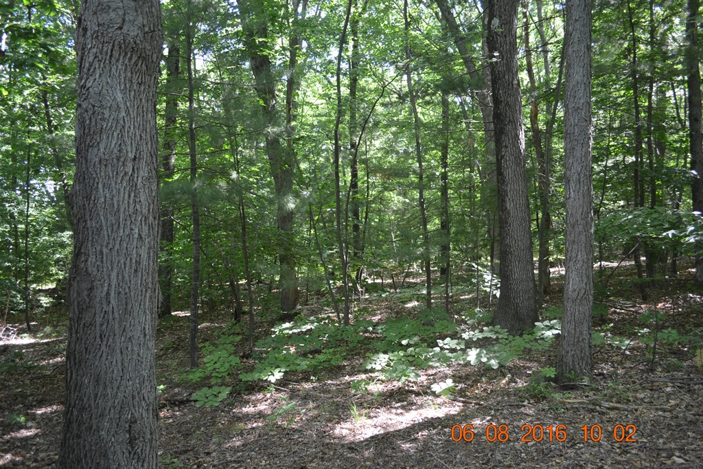 33 Partridge Road Lexington, MA 02420 - Photo 4 of 6